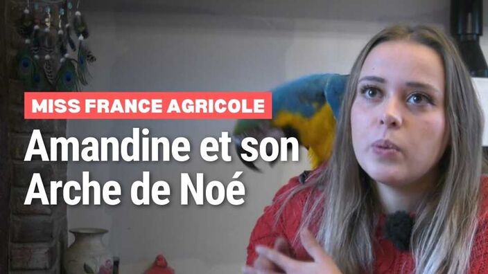 Concours Miss France Agricole : Amandine et son Arche de Noé...