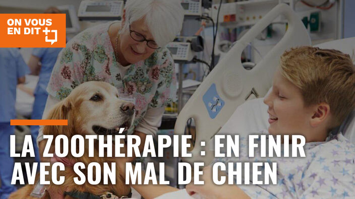 Zoothérapie : en finir avec son mal de chien !