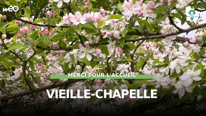 Vieille-Chapelle (62) - Arboretum et vie associative 