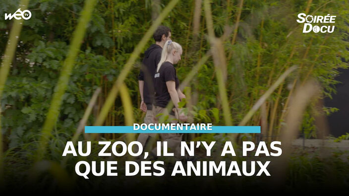 Au zoo, il n'y a pas que des animaux !