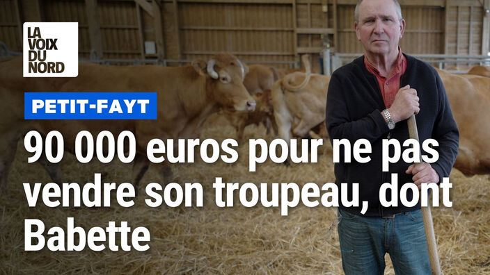 Eleveur à Petit-Fayt, il lui faut plus de 90 000 euros pour ne pas vendre son troupeau, dont Babette