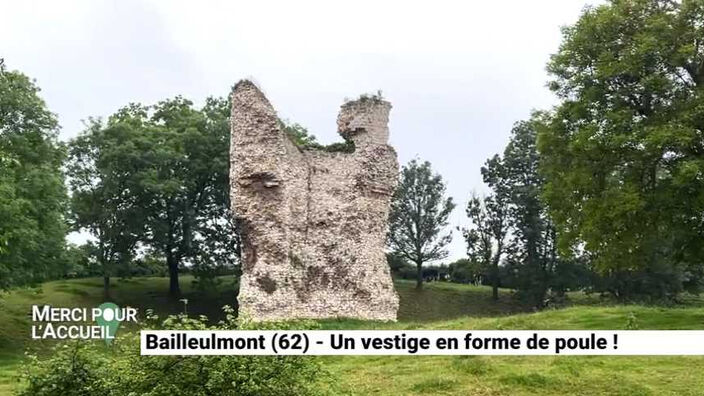 Bailleulmont (62) - Un vestige en forme de poule !