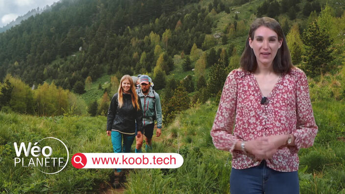 Koob : les engagements durables des professionnels du tourisme