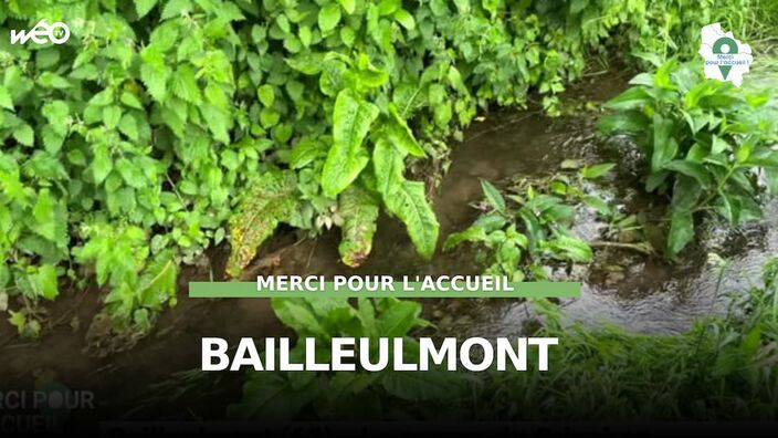 Bailleulmont (62) - La source du Crinchon 