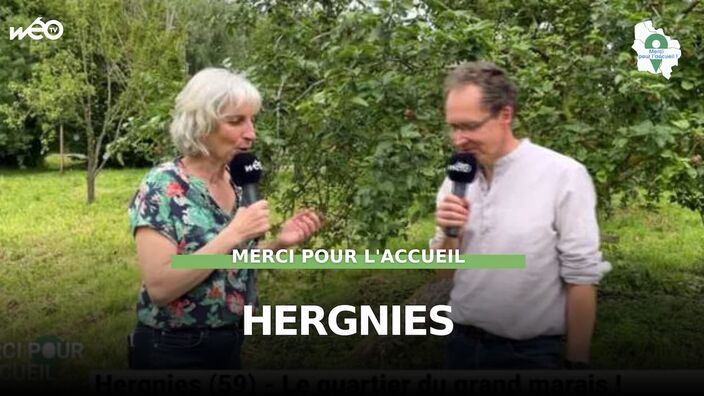 Hergnies (59) - Le quartier du grand marais !