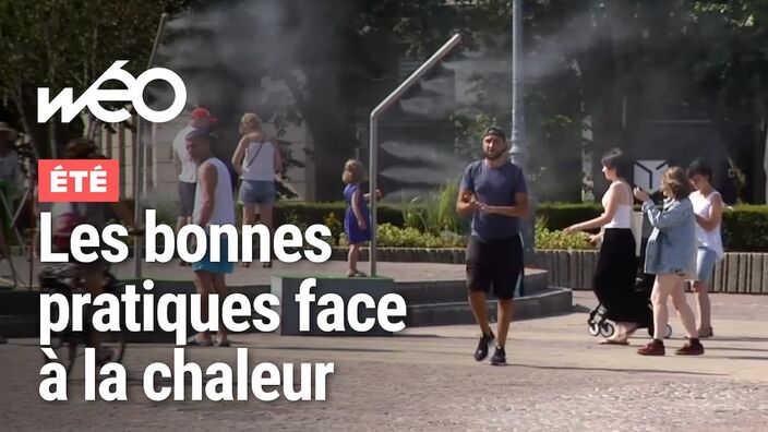 Vague de chaleur : nos recommandations pour y faire face