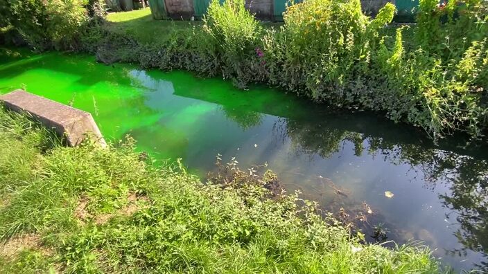 Quand un ruisseau de Cambrai vire au vert fluo