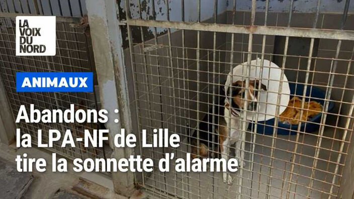 La LPA-NF de Lille tire la sonnette d’alarme face aux abandons d’animaux 