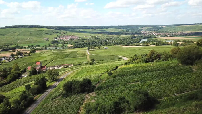 Champagne : l'Aisne pétille aussi...