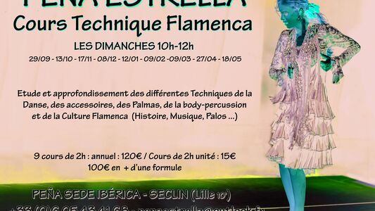 Cours de danse Flamenco Technique Ibérica Seclin Hauts de France