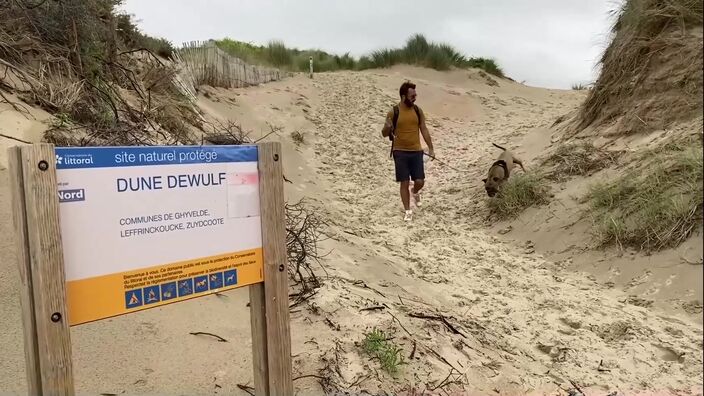 Randonnons dans la dune Dewulf, entre Leffrinckoucke et Zuydcoote.