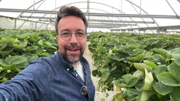 Un gaspacho aux fraises de Pihem (62) avec le chef Alexandre Lebriez