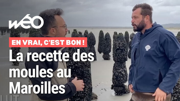 On vous explique la recette des moules au Maroilles !