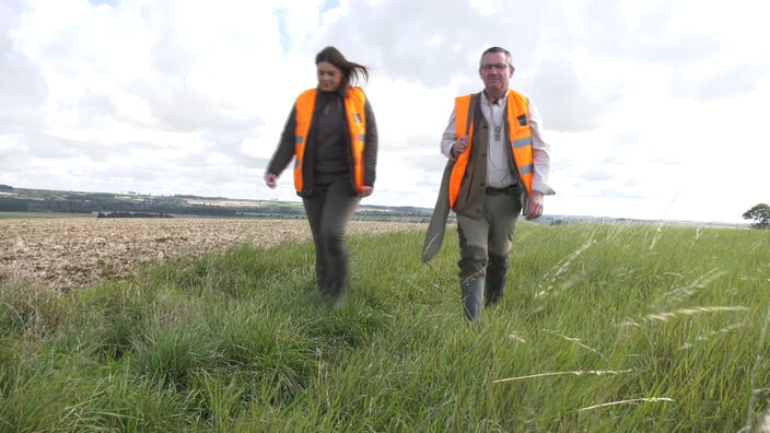 Chasse en plaine : les chasseurs de la Somme parés pour l'ouverture ce dimanche