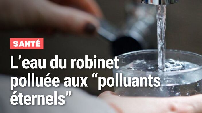 Eau du robinet : à Lille, elle contient des polluants éternels (PFAS) cancérigènes 