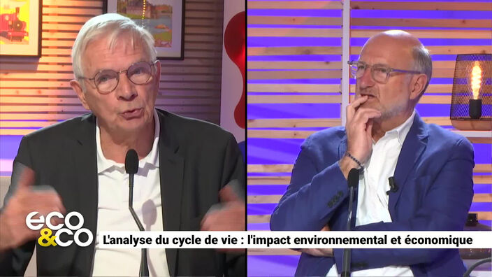 L’analyse du cycle de vie : l'impact environnemental et économique