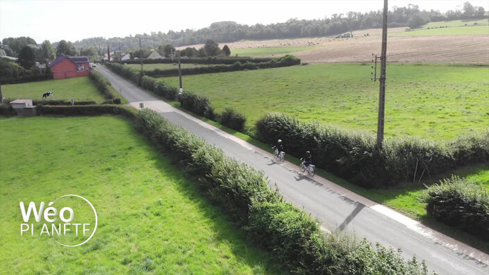 La mobilité en ruralité, où en est-on ?