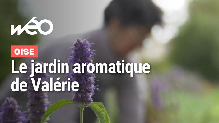 Marché fermier de l'Oise : le jardin aromatique de Valérie