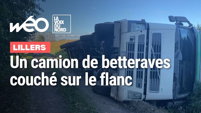 Un camion chargé de 30 tonnes de betteraves sur le flanc à Lillers