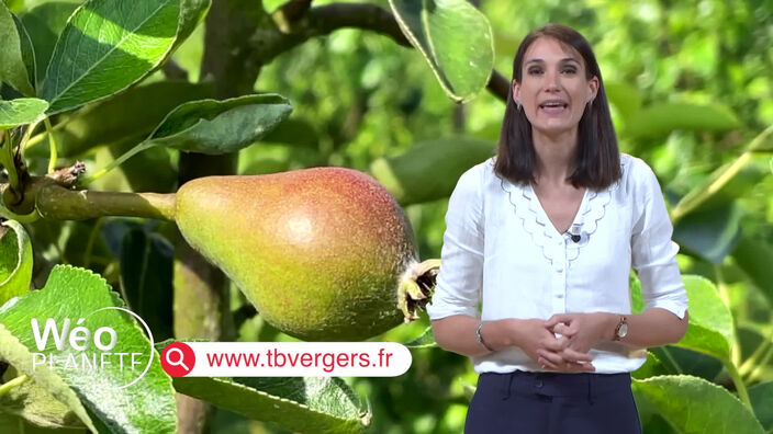 Des jus de fruits 100% locaux et bio