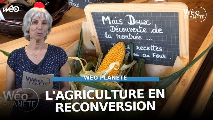 Comment accompagner les agriculteurs en conversion ?