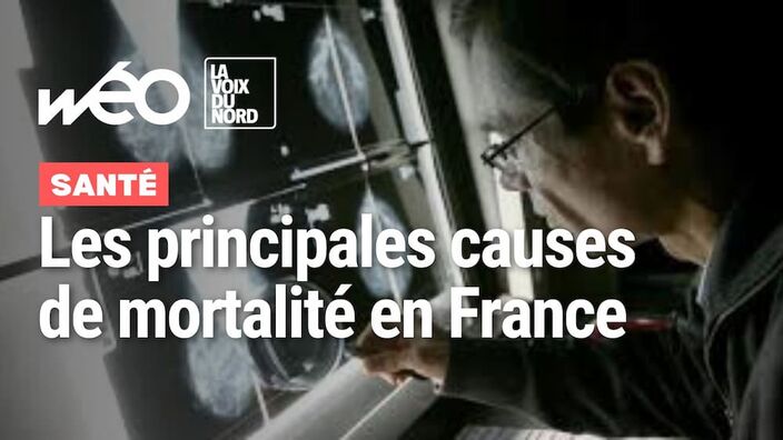 Cancer, maladies respiratoires, accidents… Quelles sont les grandes causes des décès en France ?