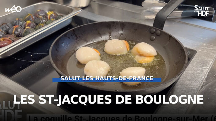 La coquille St-Jacques de Boulogne-sur-Mer (62)