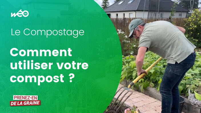 Comment utiliser votre compost ?