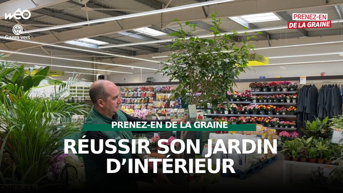 Prenez-en de la graine : Comment réussir son jardin d'intérieur ?