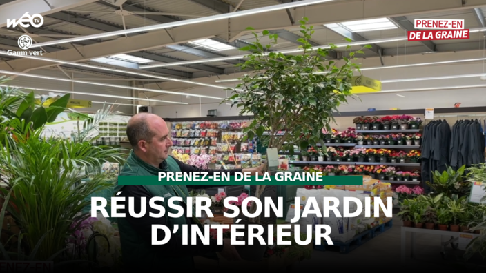 Prenez-en de la graine : Les plantes d'intérieur