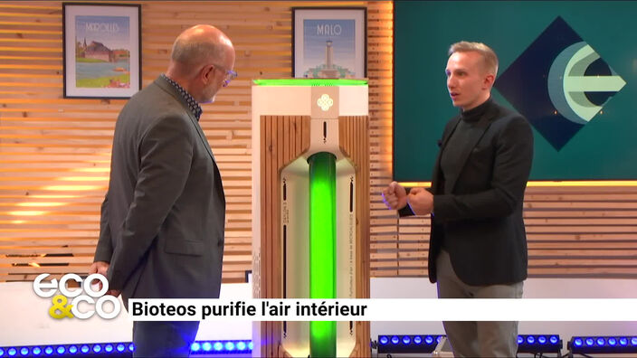 Bioteos purifie l'air intérieur