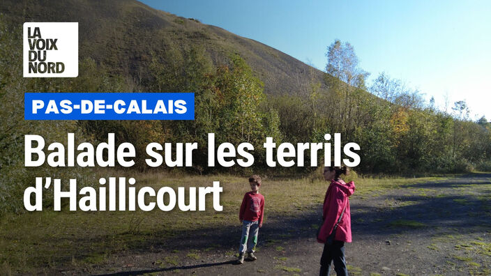 Pas-de-Calais : petite balade dans les terrils du Pays à part à Haillicourt