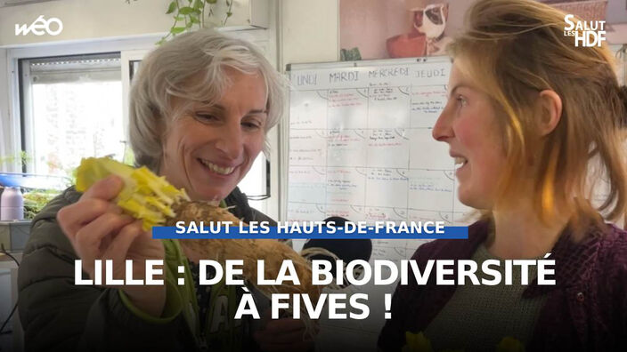 Lille : Lilotopia diffuse la biodiversité en ville !