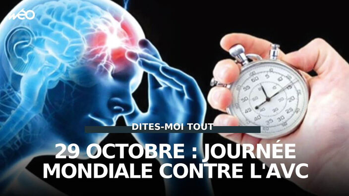 29 octobre : Journée Mondiale contre l'AVC