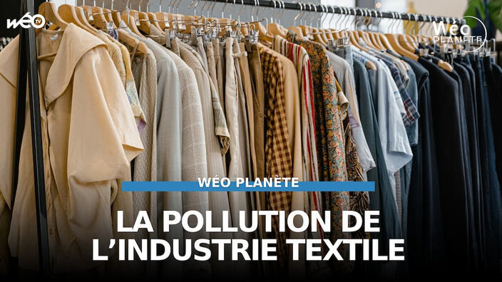 Mode circulaire : comment recycler ses vêtements ?