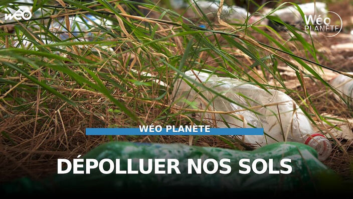 Comment dépolluer les sites industriels ?