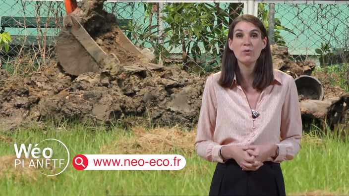 Néo-Eco : récupérer et donner une seconde vie à de nombreux matériaux présents dans les sols