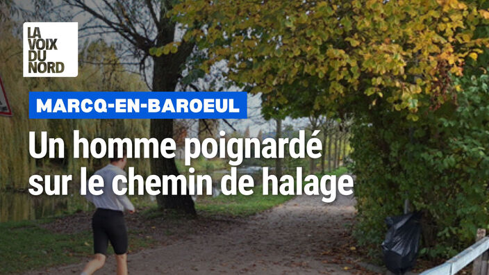 Marcq-en-Barœul : un homme poignardé "sans raison" alors qu'il promenait son chien