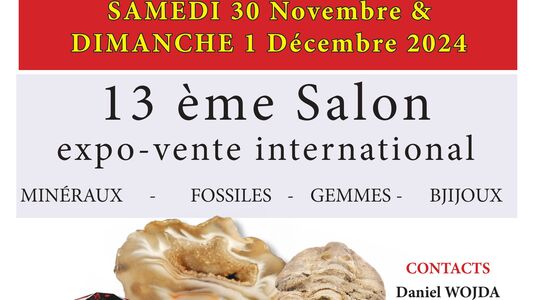 13e salon des minéraux et fossiles