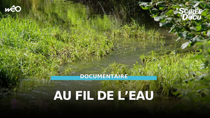 Au fil de l'eau, de l'insouciance à la désobéissance