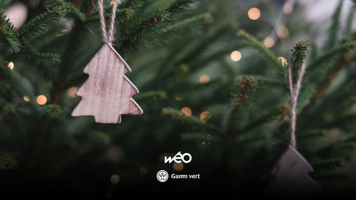 Gagnez votre sapin de Noël avec Wéo !