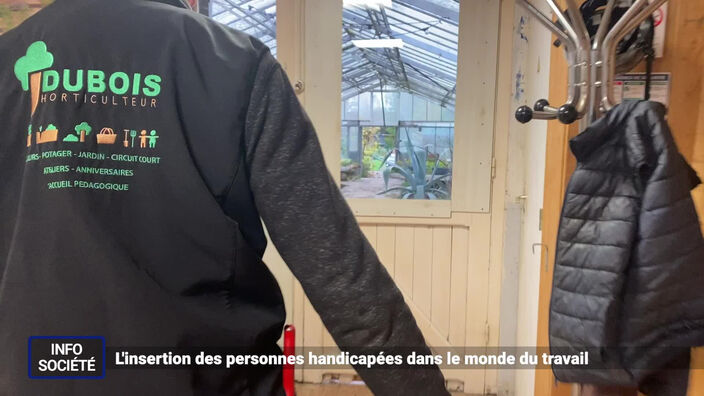 L'insertion des personnes handicapées dans le monde du travail