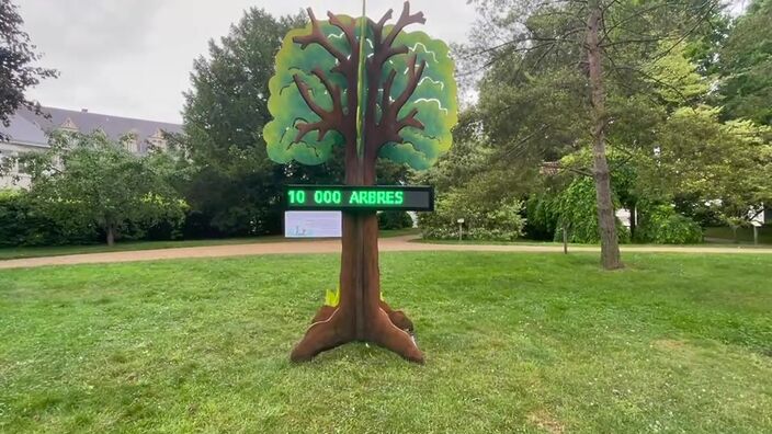 10 000e arbre planté au Petit jard