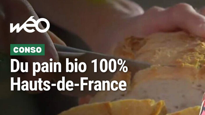 Le pain bio en Hauts de France  !