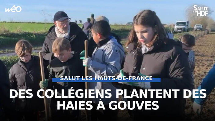 Des collégiens plantent des haies à Gouves