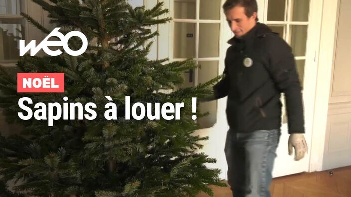 Noël : et si vous optiez pour la location de sapin ?