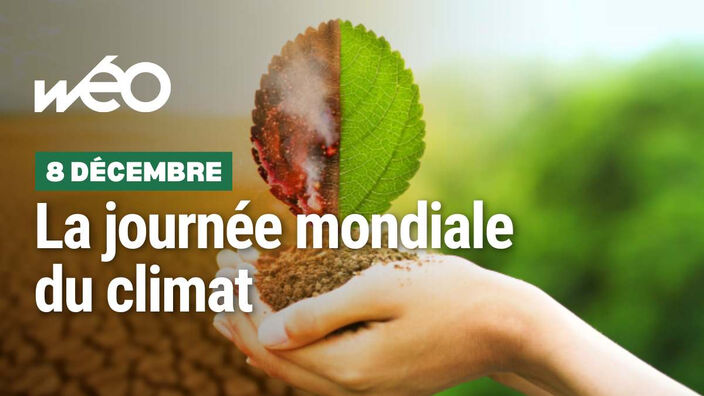 8 décembre : la journée mondiale du climat