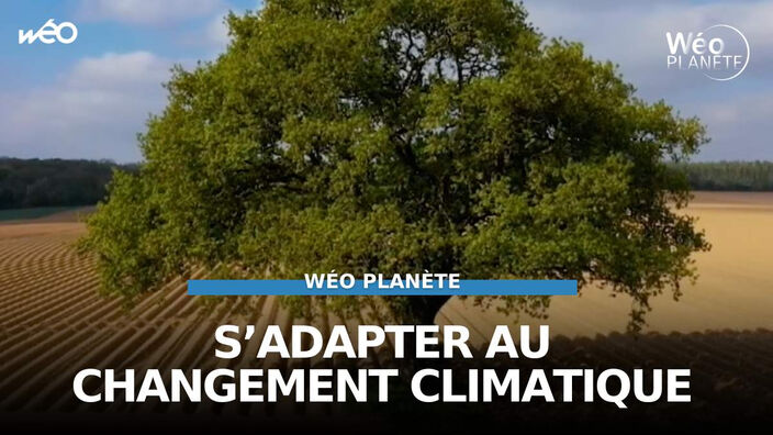 S'adapter au changement climatique