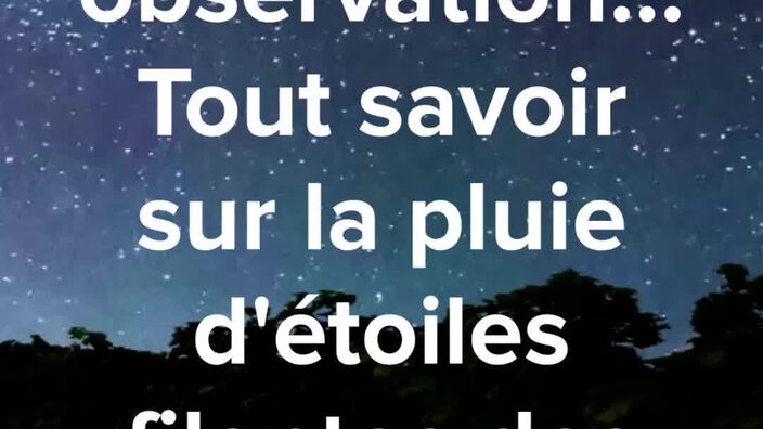 Géminides : tout savoir sur la pluie d’étoiles filantes qui traverse le ciel la nuit du 13 au 14 décembre