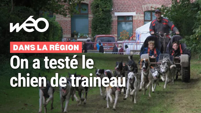 Haverskerque : du chien de traineau au Domaine de Mi-loup